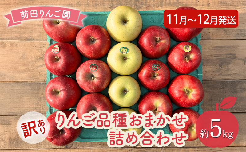 りんご 【 11月 ～ 12月発送 】 前田りんご園 訳あり りんご 品種おまかせ詰め合わせ 約 5kg 【 弘前市産 青森りんご 】