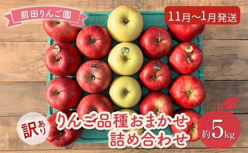 りんご 【 11月 ～ 1月発送 】 前田りんご園 訳あり りんご 品種おまかせ詰め合わせ 約 5kg 【 弘前市産 青森りんご 】