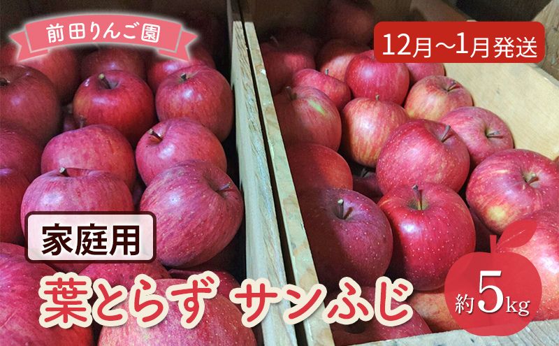 りんご 【 12月～1月発送 】 前田りんご園 家庭用 葉とらず サンふじ 約 5kg 【 弘前市産 青森りんご 】