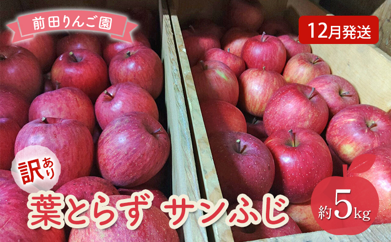 りんご 【 12月発送 】 前田りんご園 訳あり 葉とらず サンふじ 約 5kg 【 弘前市産 青森りんご 】