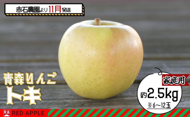 りんご 【 11月発送 】 家庭用 トキ 約 2.5kg 【 弘前市産 青森りんご 】