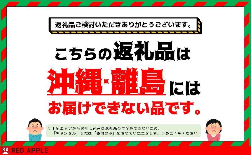 りんご 【 1月発送 】 13度糖度保証 贈答用 王林 約 2.5kg 【 弘前市産 青森りんご 】