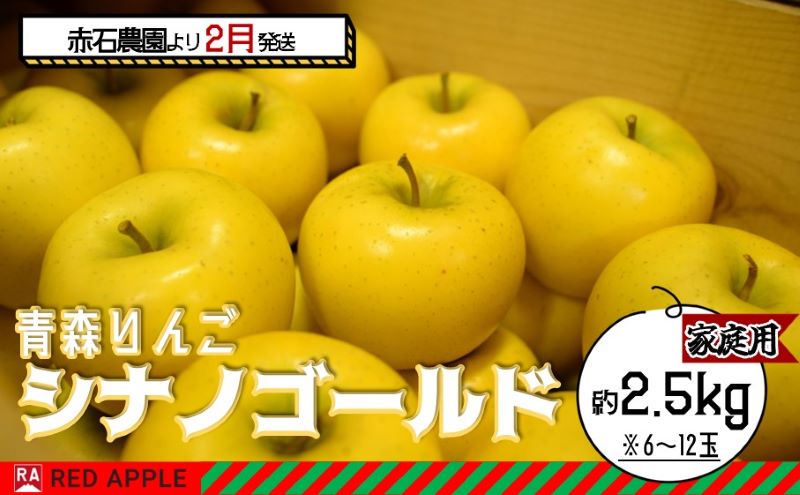 りんご 【 2月発送 】 家庭用 シナノゴールド 約 2.5kg 【 弘前市産 青森りんご 】