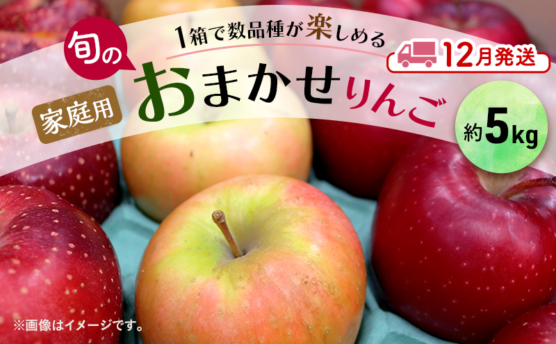 りんご 【 12月発送 】 家庭用 旬のりんご 品種おまかせ 約 5kg 2品種～4品種 【 弘前市産 青森りんご 】