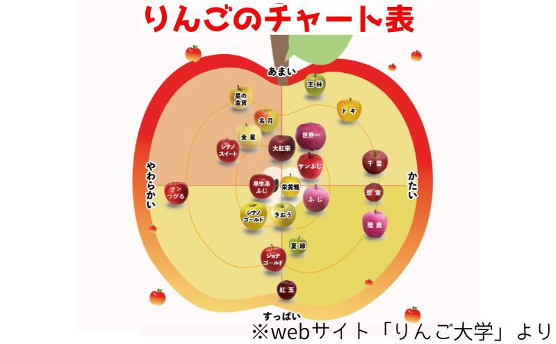 りんご 【 12月発送 】 家庭用 旬のりんご 品種おまかせ 約 5kg 2品種～4品種 【 弘前市産 青森りんご 】