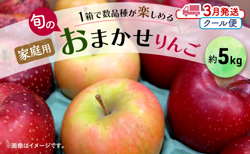 りんご 【3月クール便発送】 家庭用 旬のりんご 品種おまかせ 約 5kg 2品種～4品種【 弘前市産 青森りんご 】