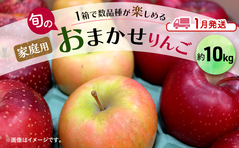 りんご 【 1月発送 】 家庭用 旬のりんご 品種おまかせ 約 10kg 2種類～4種類【 弘前市産 青森りんご 】