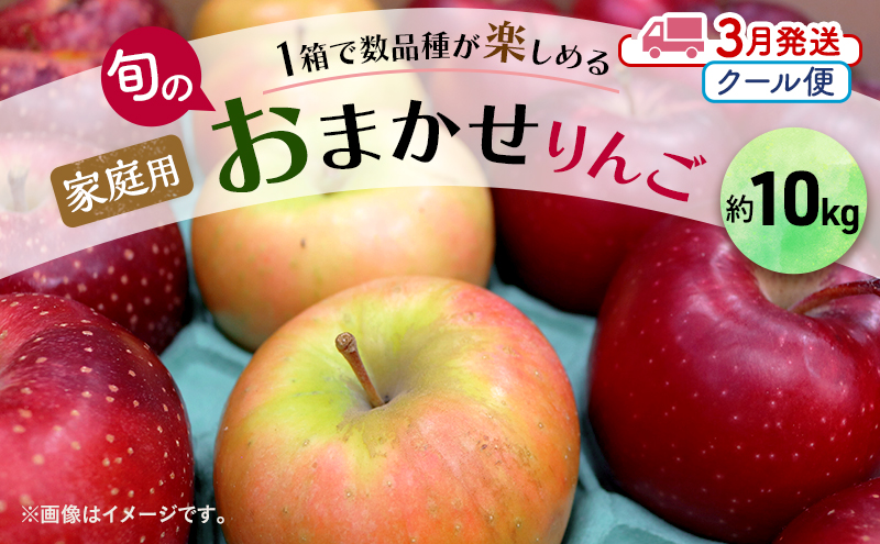 りんご 【 3月クール便発送 】 家庭用 旬のりんご 品種おまかせ 約 10kg 2種類～4種類【 弘前市産 青森りんご 】