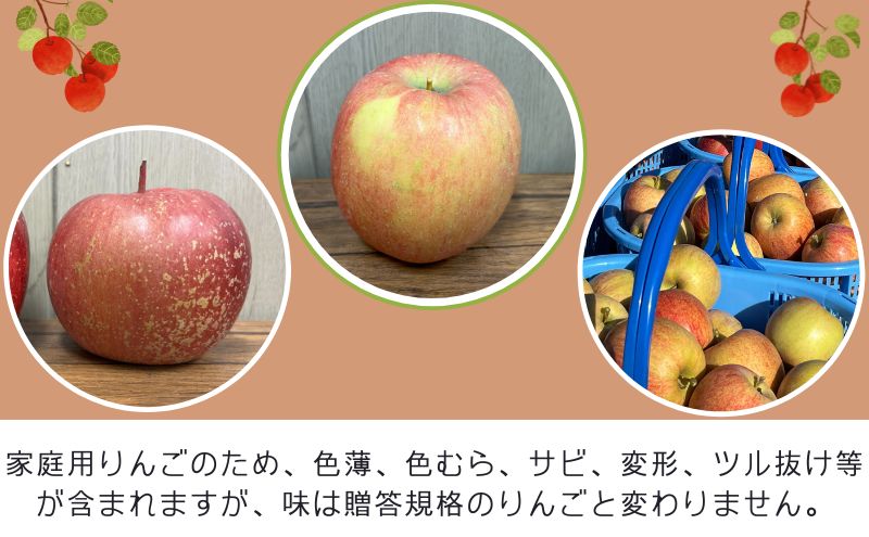 【1月～3月発送】家庭用 サンふじ 約 2kg 【 弘前市産 青森りんご 】 果物類 フルーツ 林檎 リンゴ 津軽 青森県産 おやつ デザート