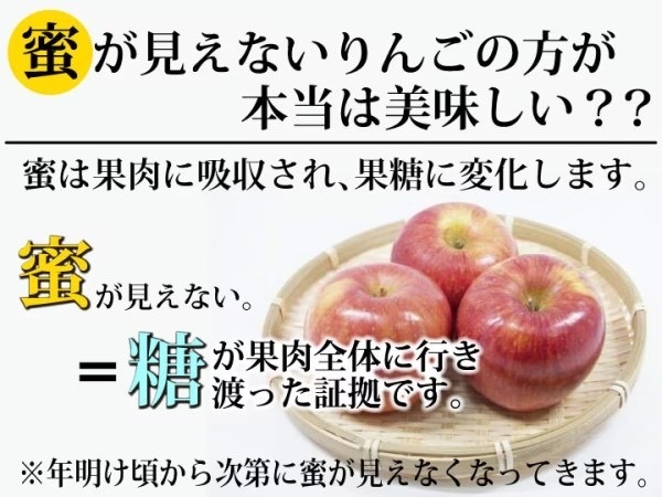 りんご 【 2月～3月上旬発送 】 青森県産 樹上完熟葉とらずふじ 家庭用 厳選品 約 5kg × 2箱セット 【 弘前市産 青森りんご 】