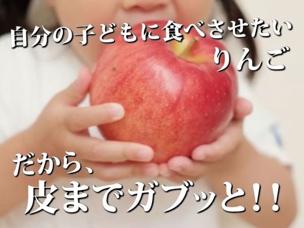 りんご 【 2月～3月上旬発送 】 青森県産 樹上完熟葉とらずふじ 家庭用 厳選品 約 3kg 【 弘前市産 青森りんご 】