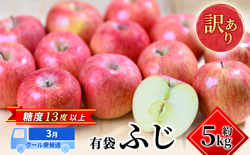 りんご 【3月クール便発送】 糖度13度以上 訳あり 家庭用 ふじ 約 5kg 【 弘前市産 青森りんご 】果物類 フルーツ 林檎 リンゴ 弘前市 青森県 おやつ デザート