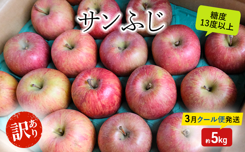 りんご 【3月クール便発送】 糖度13度以上 訳あり 家庭用 サンふじ 約 5kg 【 弘前市産 青森りんご 】果物類 フルーツ 林檎 リンゴ 弘前市 青森県 おやつ デザート