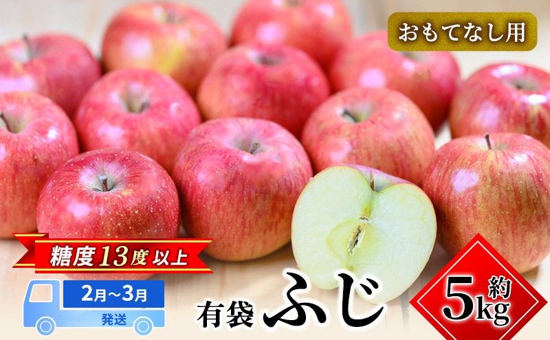 【2月～3月発送】 糖度13度以上 おもてなし用 ふじ 約 5kg 【 弘前市産 青森りんご 】果物類 フルーツ 林檎 リンゴ 弘前市 青森県 おやつ デザート