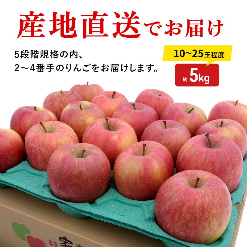 りんご 【3月クール便発送】 糖度13度以上 訳あり 家庭用 ふじ 約 5kg 【 弘前市産 青森りんご 】果物類 フルーツ 林檎 リンゴ 弘前市 青森県 おやつ デザート