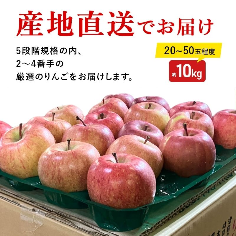 りんご 【3月クール便発送】 糖度13度以上 訳あり 家庭用 ふじ 約 10kg 【 弘前市産 青森りんご 】果物類 フルーツ 林檎 リンゴ 弘前市 青森県 おやつ デザート