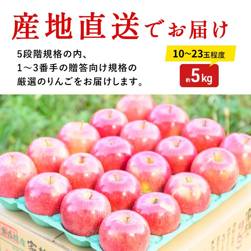 りんご 【2月～3月発送】 糖度13度以上 おもてなし用 サンふじ 約 5kg 【 弘前市産 青森りんご 】果物類 フルーツ 林檎 リンゴ 弘前市 青森県 おやつ デザート