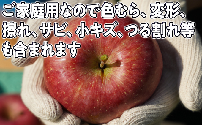 8月～12月発送 家庭用 旬のリンゴ詰め合わせ 約5kg 糖度13度以上【弘前市産・青森りんご】