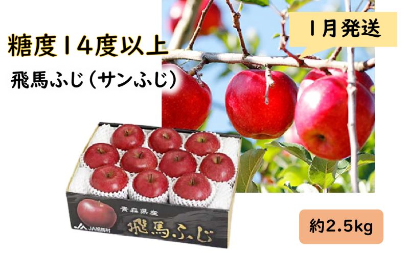 りんご 【 1月発送 】 糖度14度以上 「 飛馬ふじ 」（ サンふじ ）約 2.5kg 【 弘前市産 青森りんご 】