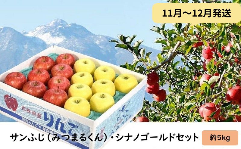 りんご 【11月～12月発送】 蜜入り サンふじ （ みつまるくん ） シナノゴールド セット 約 5kg 【 弘前市産 青森りんご 】