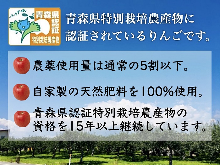 りんご 【 1月発送 】 訳あり 家庭用 葉とらず サンふじ 約 5kg 青森県特別栽培農産物認証農園 【 弘前市産 青森りんご 】