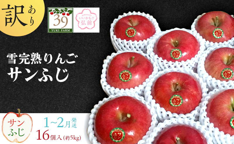 りんご 【 数量限定 】1～2月発送 訳あり 雪完熟 家庭用 糖度13度以上 サンふじ 約 5kg 16個入り【 弘前市産 青森りんご 】