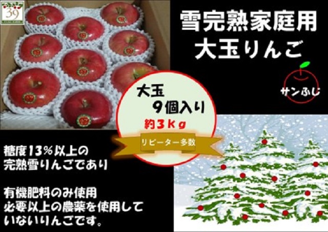 りんご 【 数量限定 】1～2月発送 訳あり 雪完熟 家庭用 糖度13度以上 大玉 サンふじ 約3kg 9個入り【 弘前市産 青森りんご 】