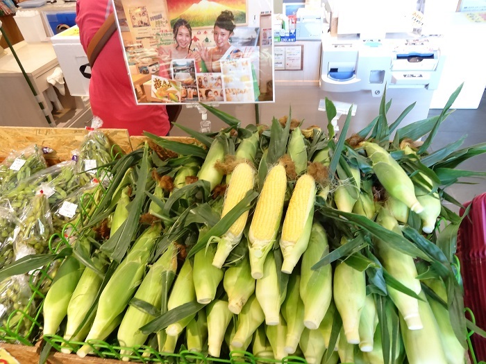 野市里からの贈り物（旬の野菜、加工品約10～14種類程度）【弘前・岩木山麓産 セット 詰合せ  】