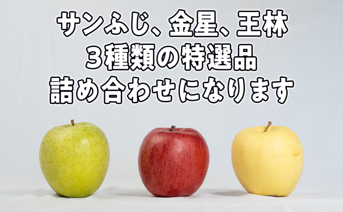 11月～12月発送 最高等級 特選大玉 3種詰め合わせ 約5kg（サンふじ・金星・王林）糖度14度以上【弘前市産・青森りんご】