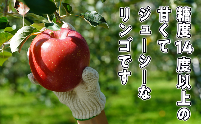 11月～12月発送 最高等級 特選大玉 3種詰め合わせ 約5kg（サンふじ・金星・王林）糖度14度以上【弘前市産・青森りんご】