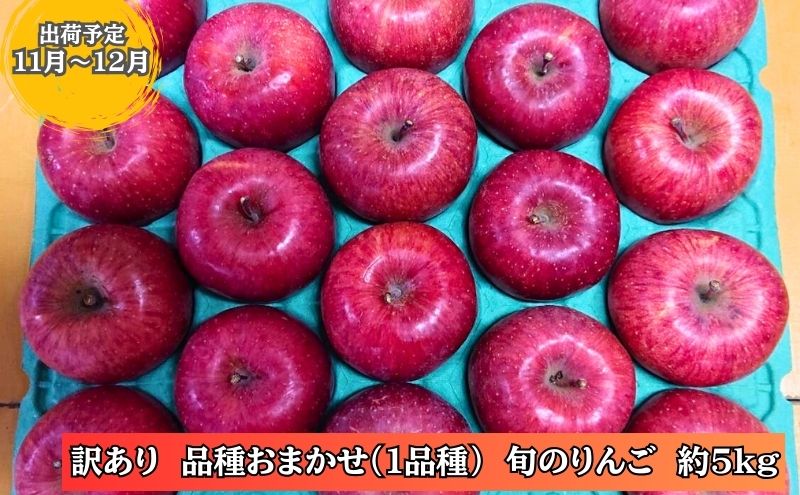 りんご 【11～12月発送】 訳あり 家庭用 百年木の香 三上農園 旬のりんご 約 5kg 品種おまかせ1品種 【 弘前市産 青森りんご  果物類 林檎 リンゴ  】