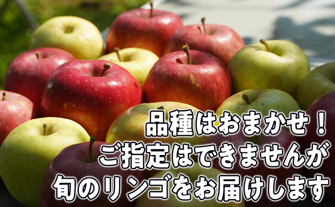 8月～12月発送 家庭用 旬のリンゴ詰め合わせ 約5kg 糖度13度以上【弘前市産・青森りんご】