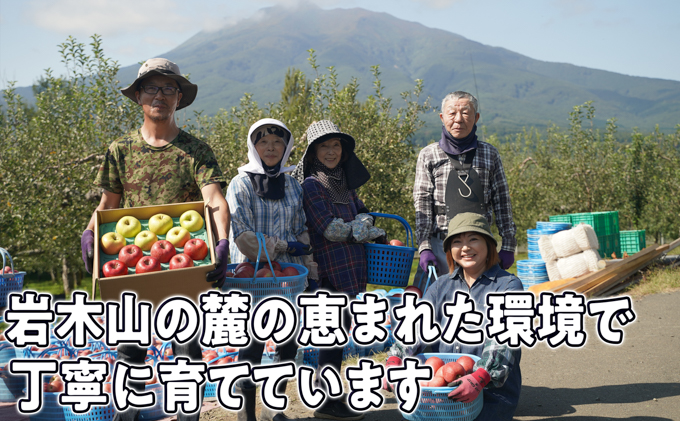 8月～12月発送 家庭用 旬のリンゴ詰め合わせ 約5kg 糖度13度以上【弘前市産・青森りんご】