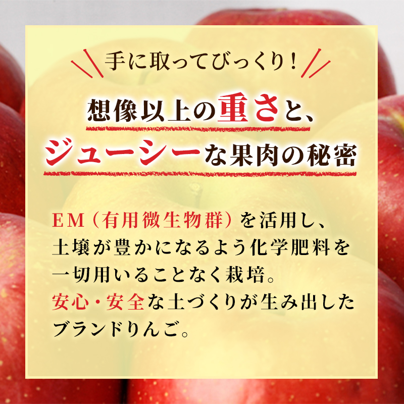 りんご 【 4月発送 】 贈答用 EM 葉取らず ふじ 約 5kg ( 有袋栽培 CA貯蔵 ) 【 弘前市産 青森りんご 】リンゴ 果物 青森 弘前 贈答