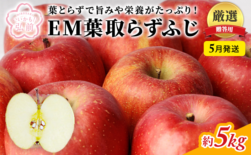 りんご 【 5月発送 】 贈答用 EM 葉取らず ふじ 約 5kg ( 有袋栽培 CA貯蔵 )【 弘前市産 青森りんご 】 リンゴ 果物 青森 弘前 贈答