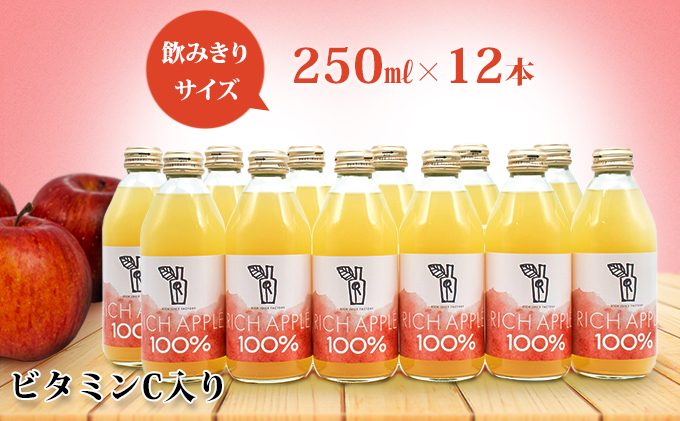 りんごジュース RICH APPLE　12本セット（250ml×12本）