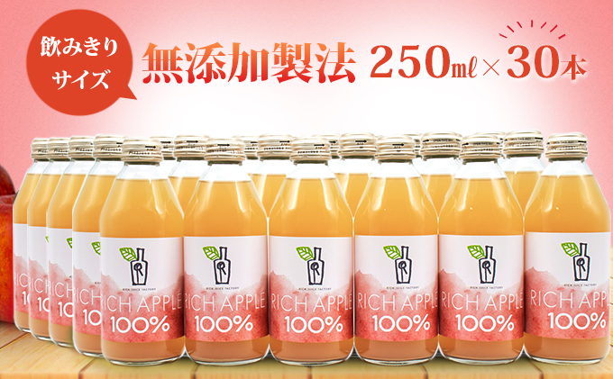 りんごジュース RICH APPLE　無添加製法　30本セット（250ml×30本）