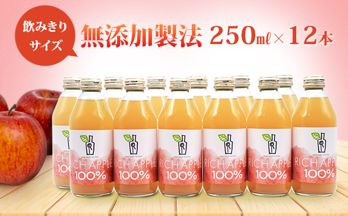 りんごジュース RICH APPLE　無添加製法　12本セット（250ml×12本）