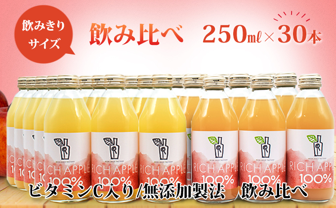 りんごジュース RICH APPLE　飲み比べ　30本セット（250ml×30本）