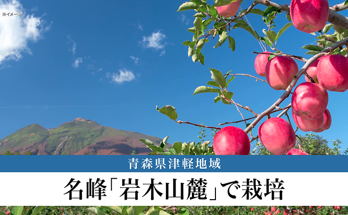 【りんごジュース定期便】RICH APPLE 飲み比べ 12本セット×3か月（250ml×12本×3回）【 飲料類 果汁飲料  】