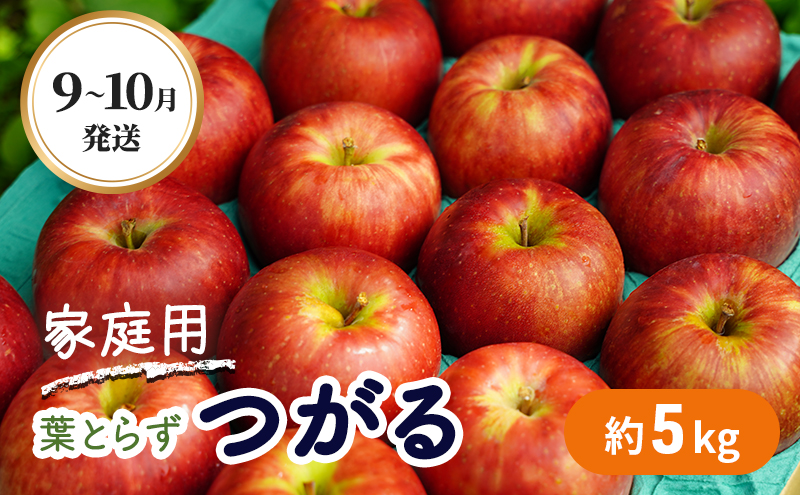 9～10月発送 家庭用 葉とらず つがる 約5kg 【弘前市産・青森りんご】