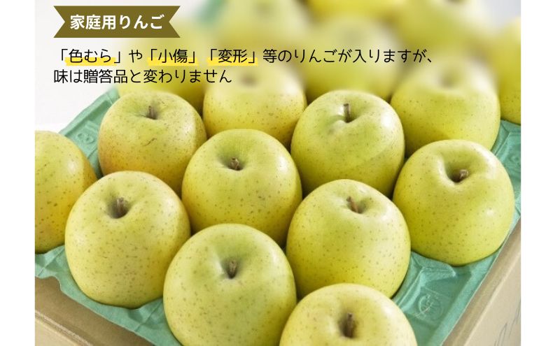  9～10月発送 家庭用 トキ 約5kg【弘前市産・青森りんご】