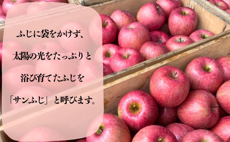 【数量限定】11～12月発送 家庭用サンふじ約5kg【弘前市産・青森りんご 果物類 林檎 リンゴ  】