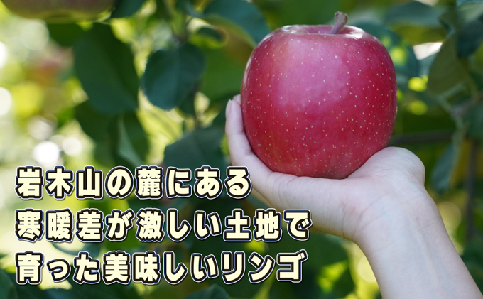 10～11月発送 訳ありひろさきふじ約10kg（葉とらず）【弘前市産・青森りんご】