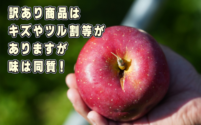 10～11月発送 訳ありひろさきふじ約10kg（葉とらず）【弘前市産・青森りんご 果物類 林檎 リンゴ  】