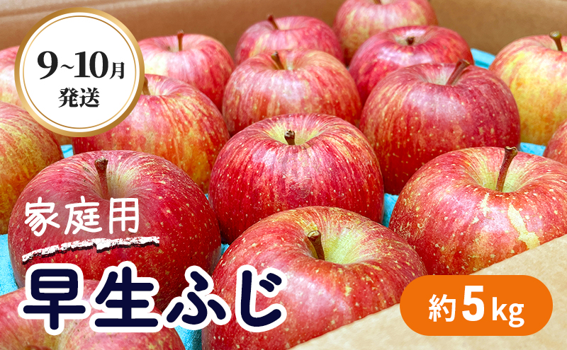 9～10月発送 家庭用 早生ふじ 約5kg 【弘前市産・青森りんご】