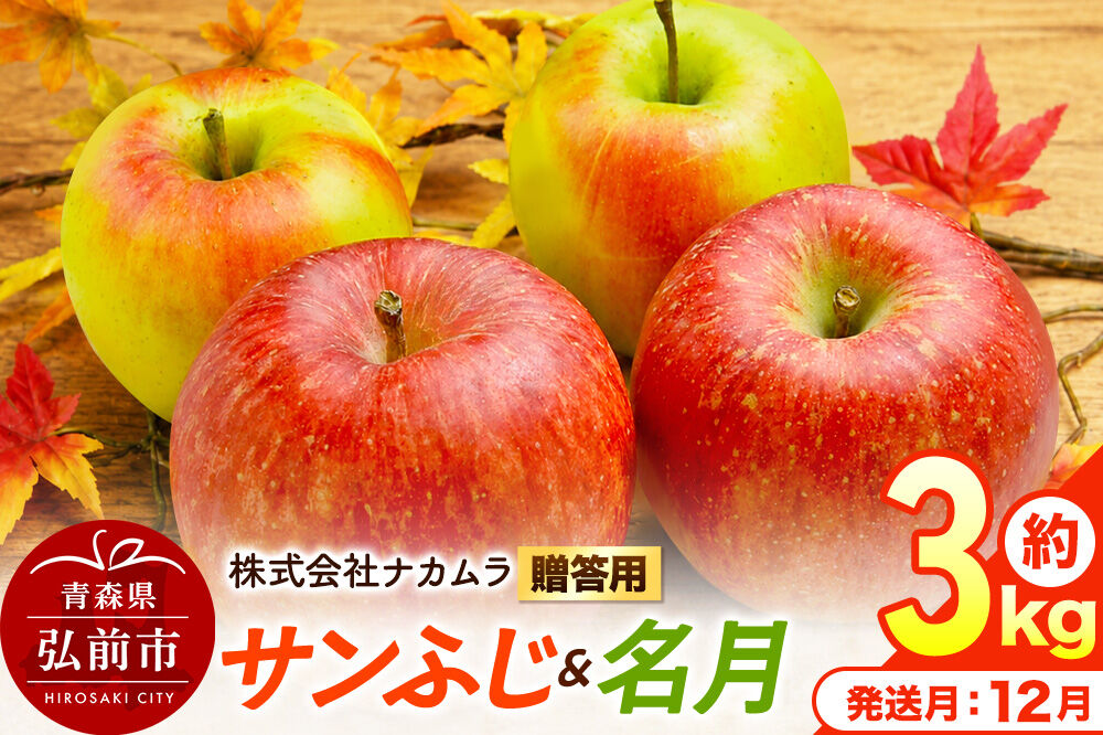 【26年12月発送】りんご サンふじ・名月【贈答用】約3kg（9〜12玉程度）先行受付 青森県産 林檎 リンゴ 果物 くだもの フルーツ 青森県 弘前市 [先行予約 産地直送 ギフト 贈り物 アップル おいしい ふじ 名月 果実 美味 甘い]