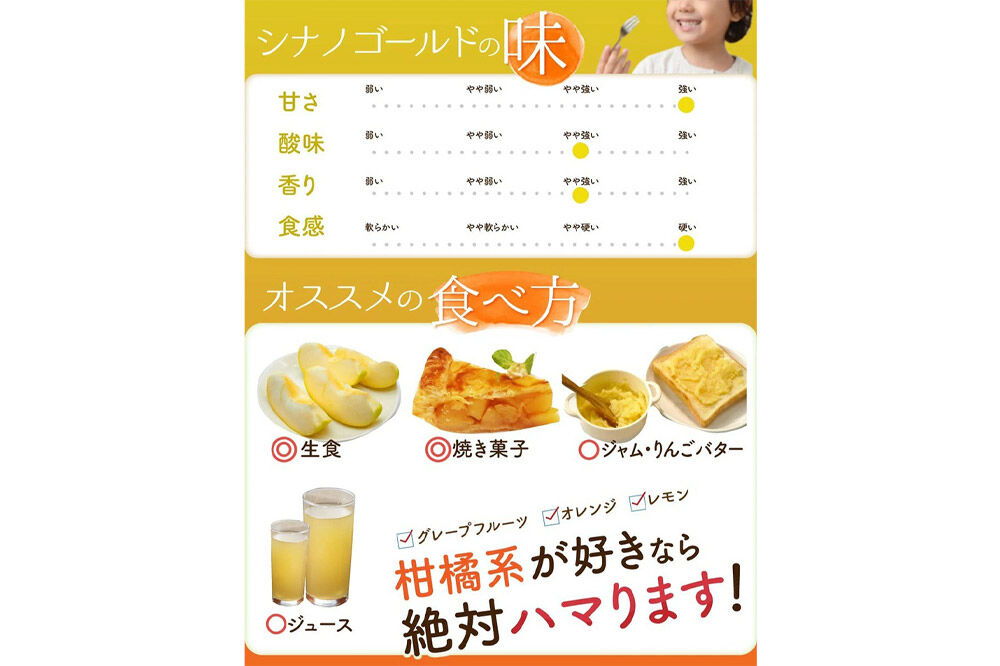 【26年10月下旬〜発送】りんご シナノゴールド【贈答用】約5kg 青森県 弘前市 [先行予約 アップル おいしい ふじ りんご 果実 果物 黄色 津軽 糖度 美味 林檎]