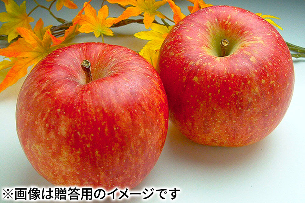 【27年3月クール便発送】りんご サンふじ【訳あり】約3kg（8〜13玉程度）糖度13度以上 先行受付 青森県産 林檎 リンゴ 果物 くだもの フルーツ 青森県 弘前市 不揃い 規格外 [先行予約 クール便 産地直送 家庭用 アップル おいしい ふじ 果実 美味 甘い]