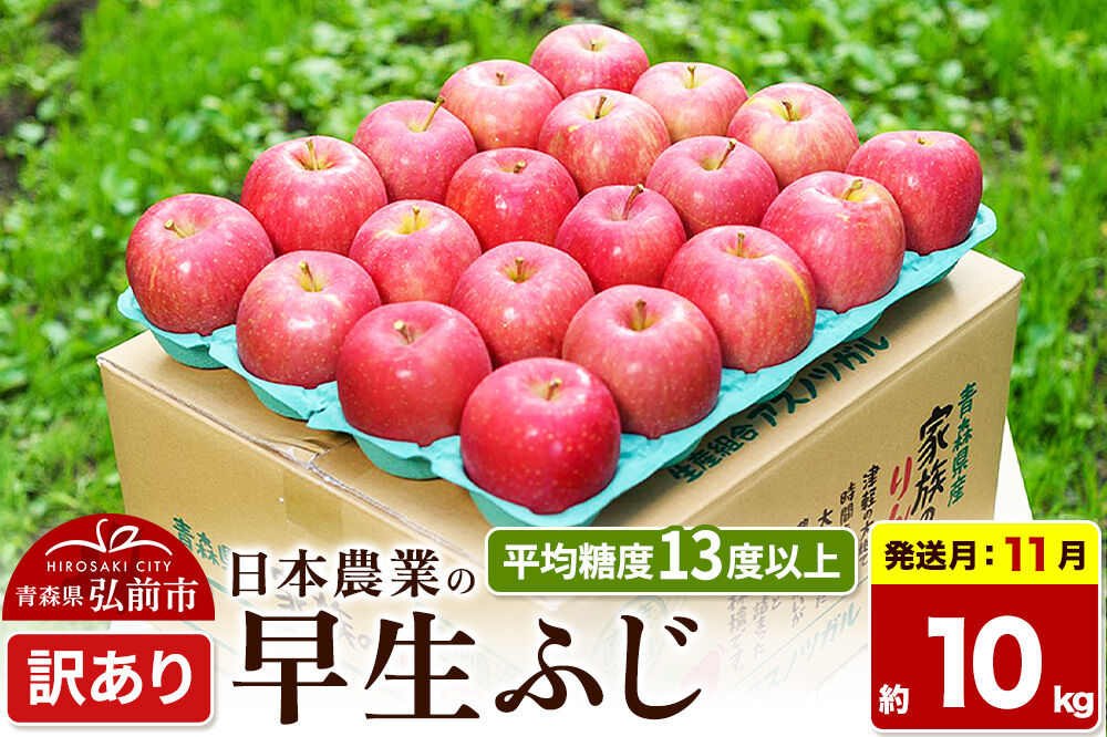 【26年11月発送】りんご 早生ふじ【訳あり】約10kg 平均糖度13度以上 青森 果物 フルーツ 林檎 リンゴ くだもの 不揃い 規格外 [先行受付 家庭用 産地直送 アップル 青森県 弘前市]